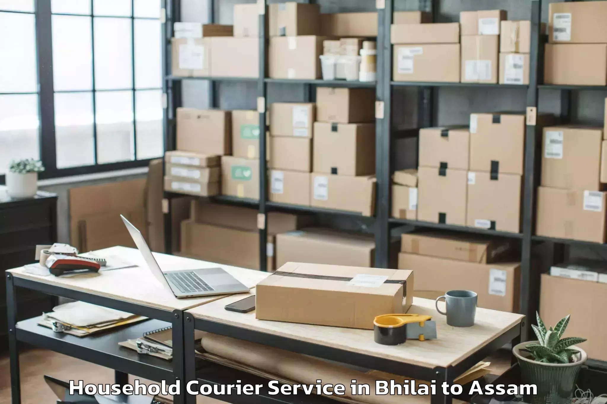 Easy Bhilai to Hojai Household Courier Booking